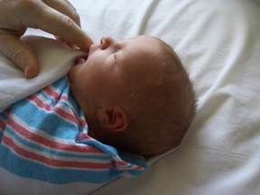 dayone-3.jpg (59700 bytes)